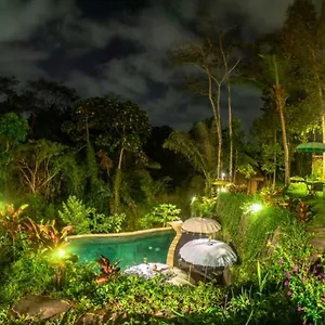  Villa The Jungle